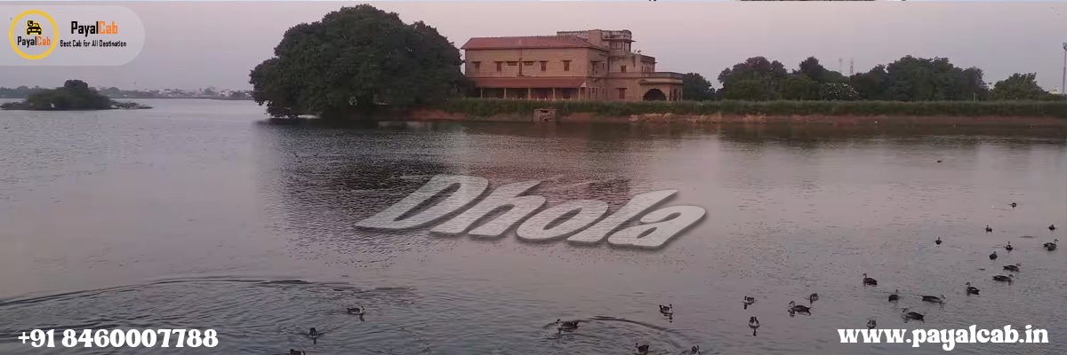 Dhola